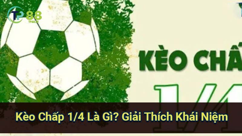 Kèo Chấp 1/4 là gì? Giải thích chi tiết 5 keo-chap-1-4-la-gi?-giai-thich-khai-niem
